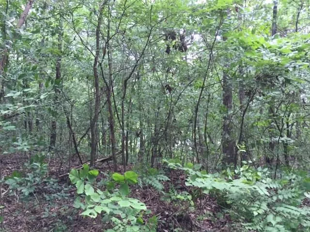 $49,900 | 226 Old Dixie Highway, Adairsville, GA 30103