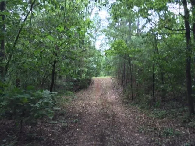 $49,900 | 226 Old Dixie Highway, Adairsville, GA 30103