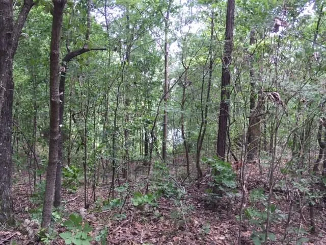 $49,900 | 226 Old Dixie Highway, Adairsville, GA 30103