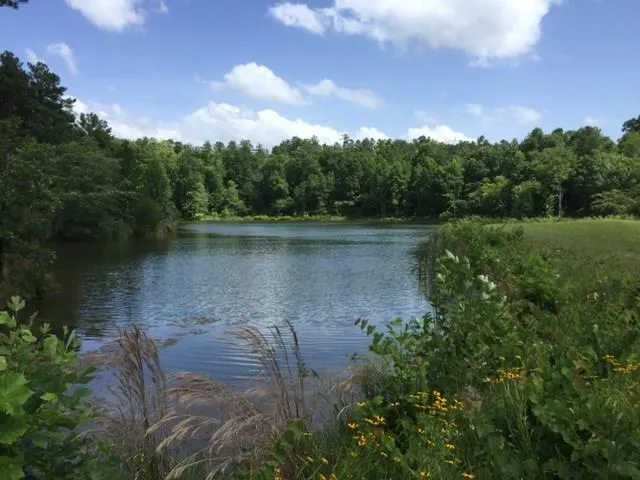 $49,900 | 226 Old Dixie Highway, Adairsville, GA 30103