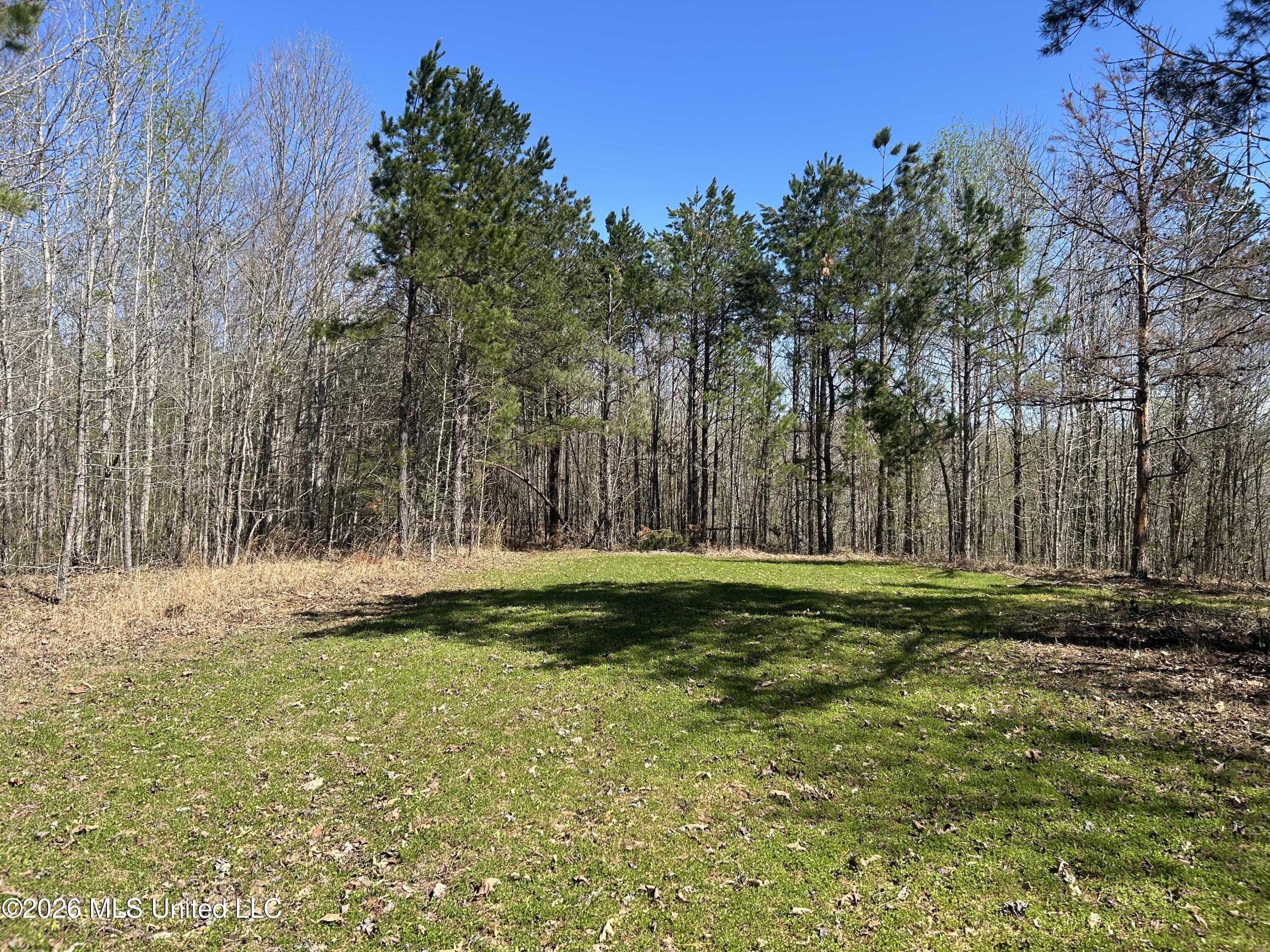 180 County Road New Albany, MS 38652 - Photo 2 of 50 2