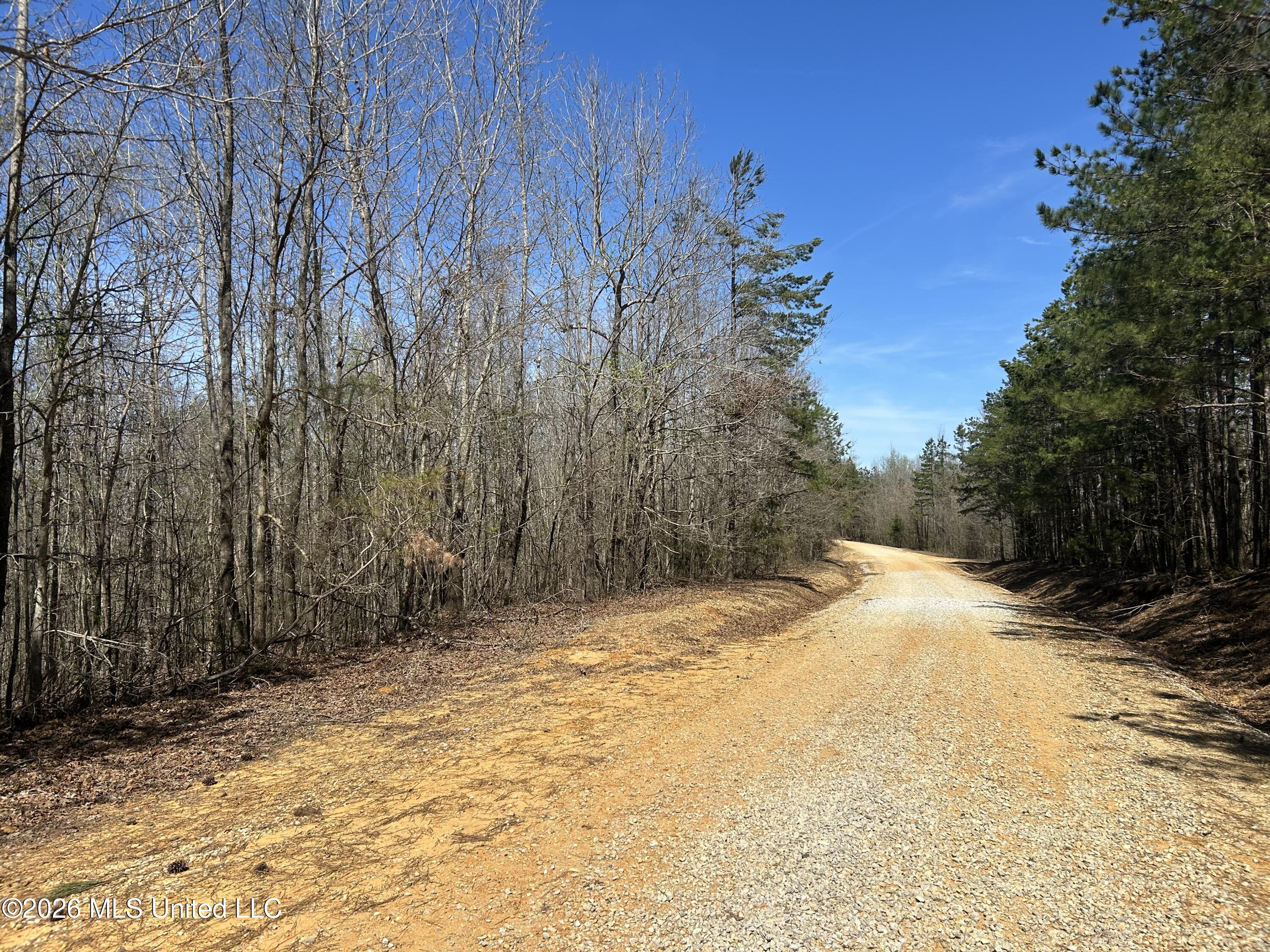 180 County Road New Albany, MS 38652 - Photo 3 of 50 Photo Mar 23 2026, 2 06 00 PM
