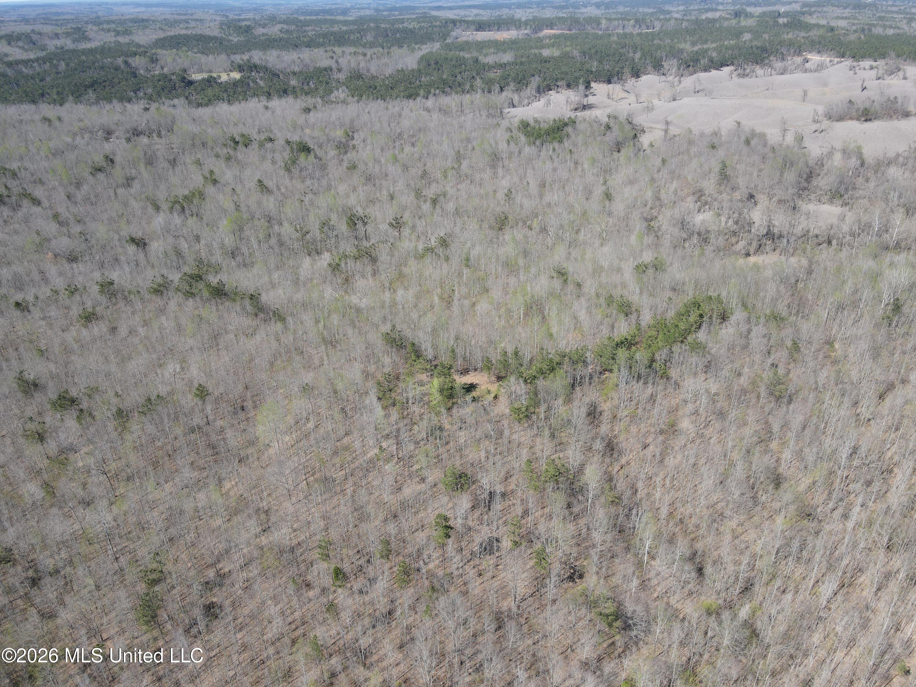 180 County Road New Albany, MS 38652 - Photo 35 of 50 Photo Mar 23 2026, 3 06 18 PM