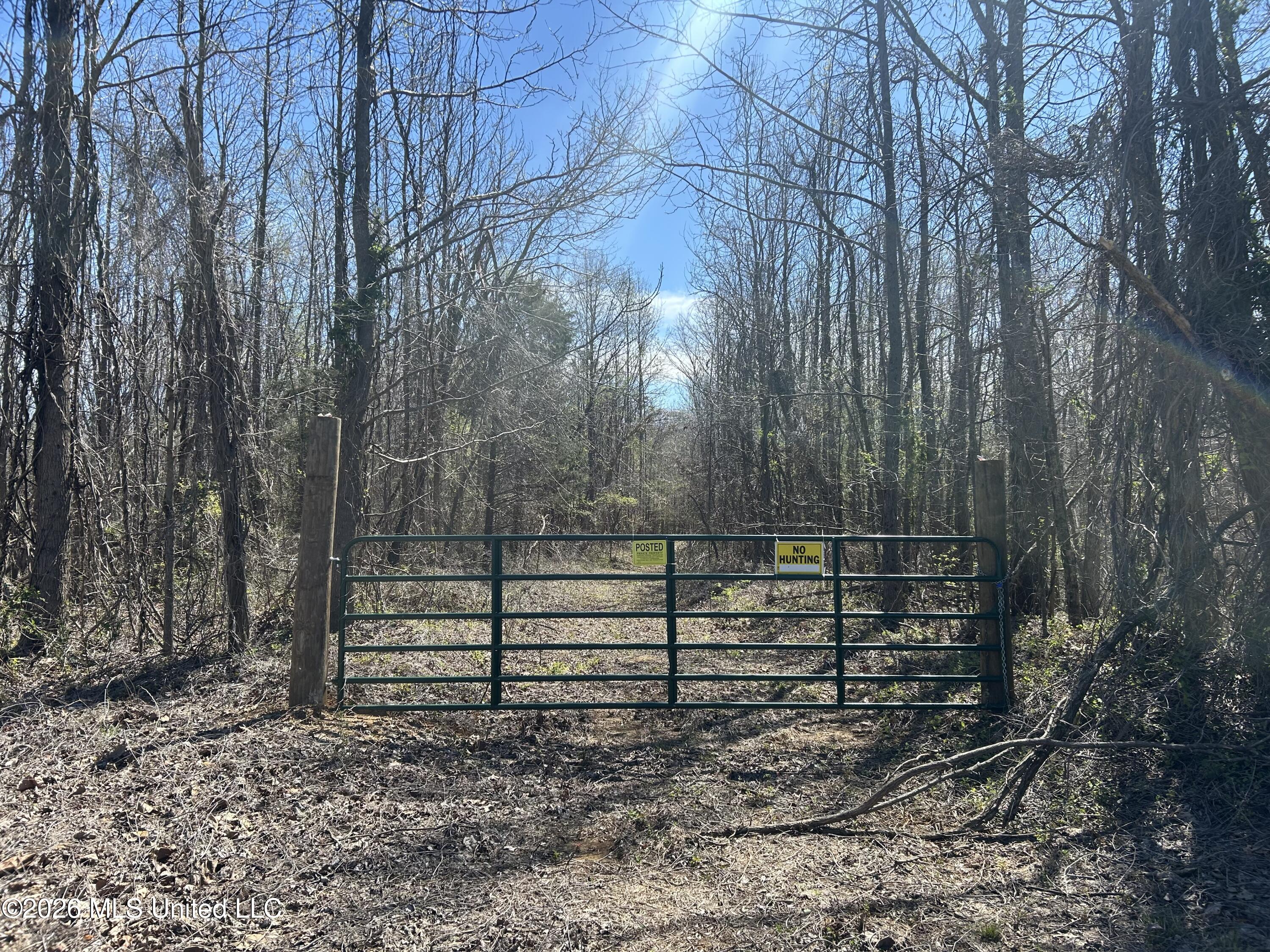180 County Road New Albany, MS 38652 - Photo 6 of 50 Photo Mar 23 2026, 2 26 17 PM