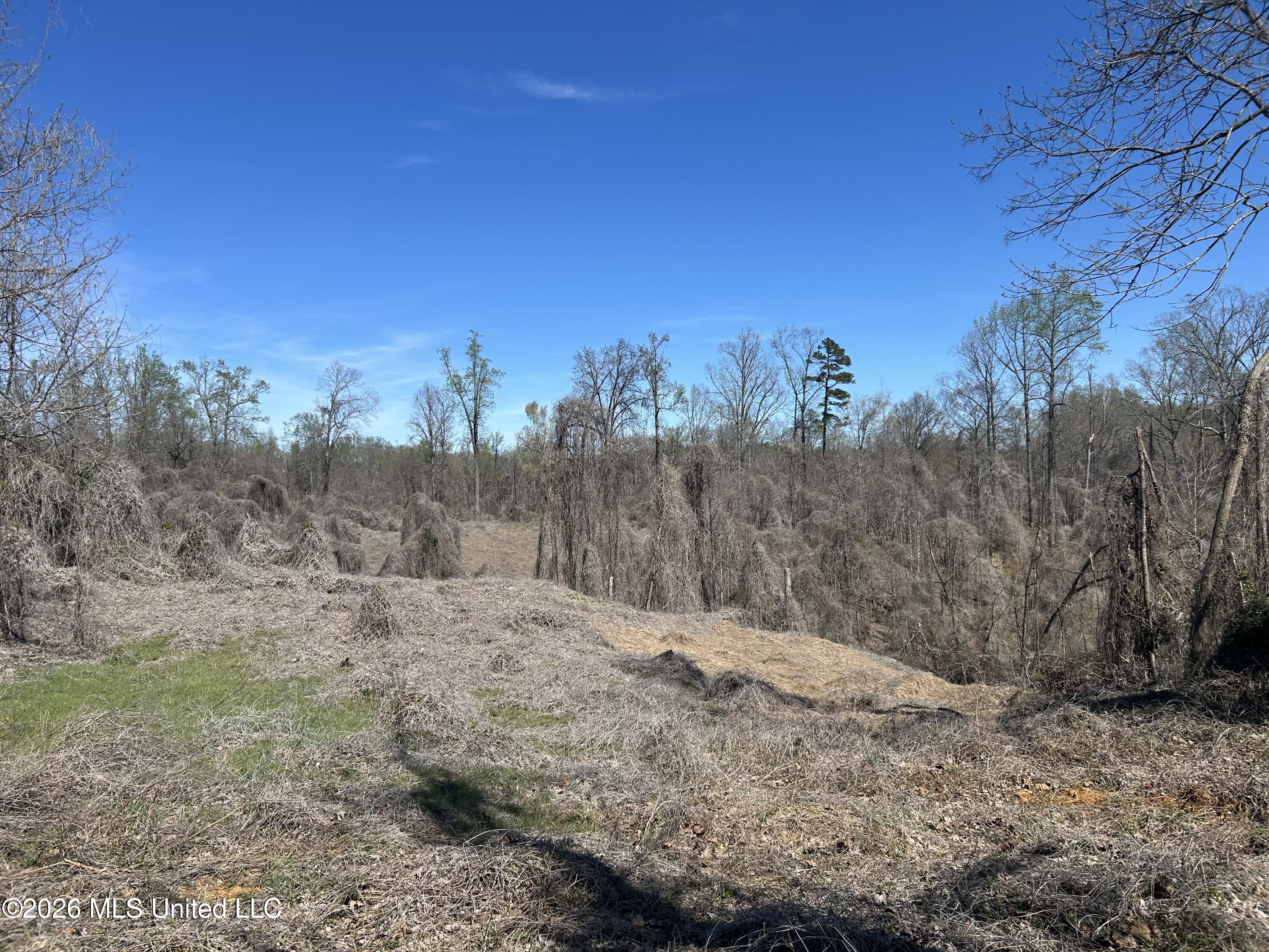 180 County Road New Albany, MS 38652 - Photo 7 of 50 Photo Mar 23 2026, 2 26 23 PM