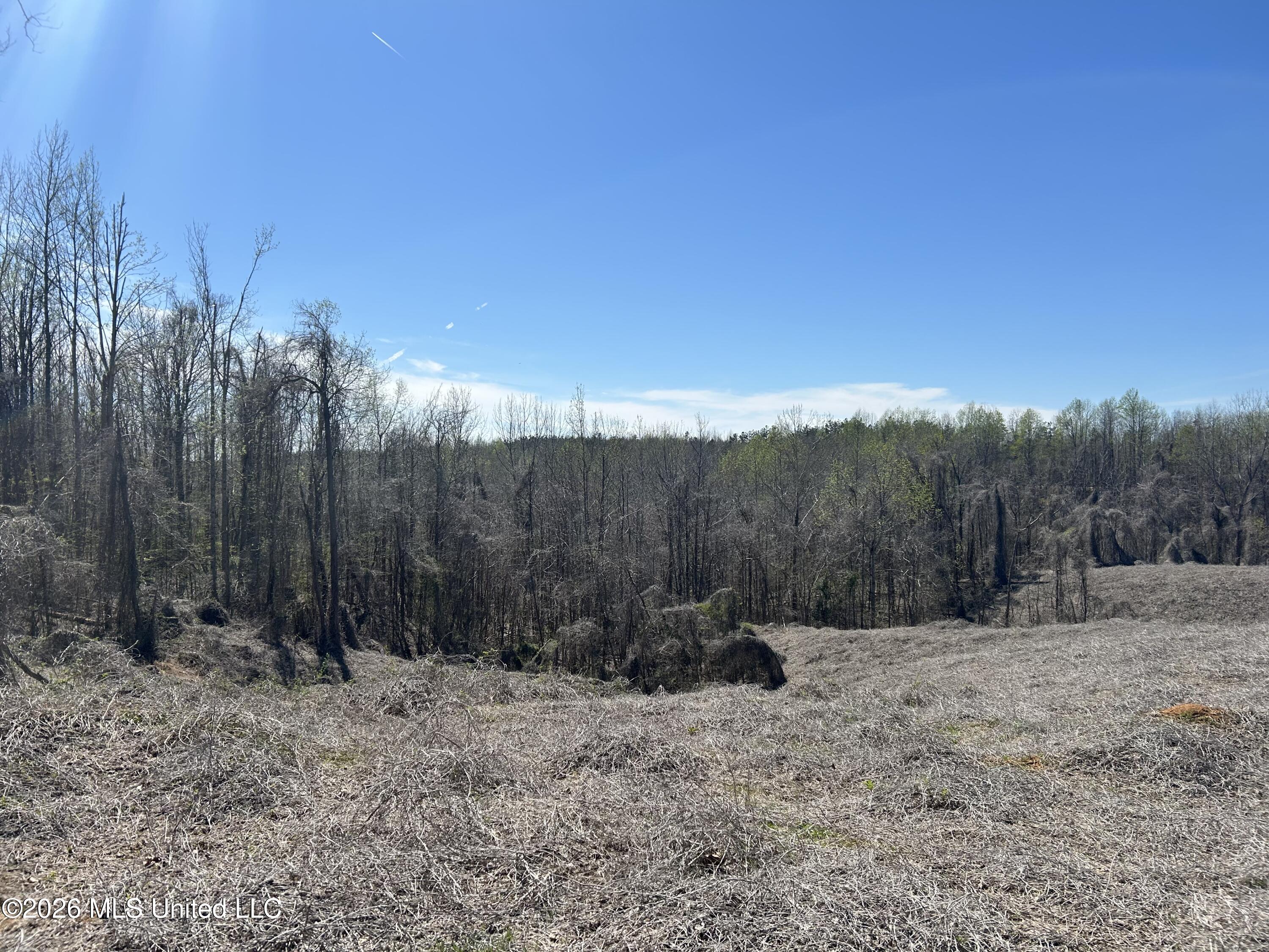 180 County Road New Albany, MS 38652 - Photo 9 of 50 Photo Mar 23 2026, 2 26 36 PM