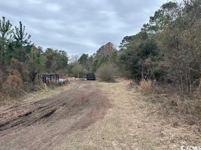 433 Highway 544 Conway, SC 29526 - Photo 6 of 10 View of road