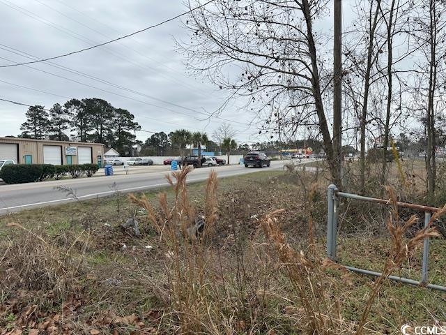 433 Highway 544 Conway, SC 29526 - Photo 7 of 10 View of yard