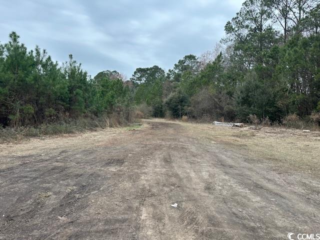 433 Highway 544 Conway, SC 29526 - Photo 9 of 10 View of nature