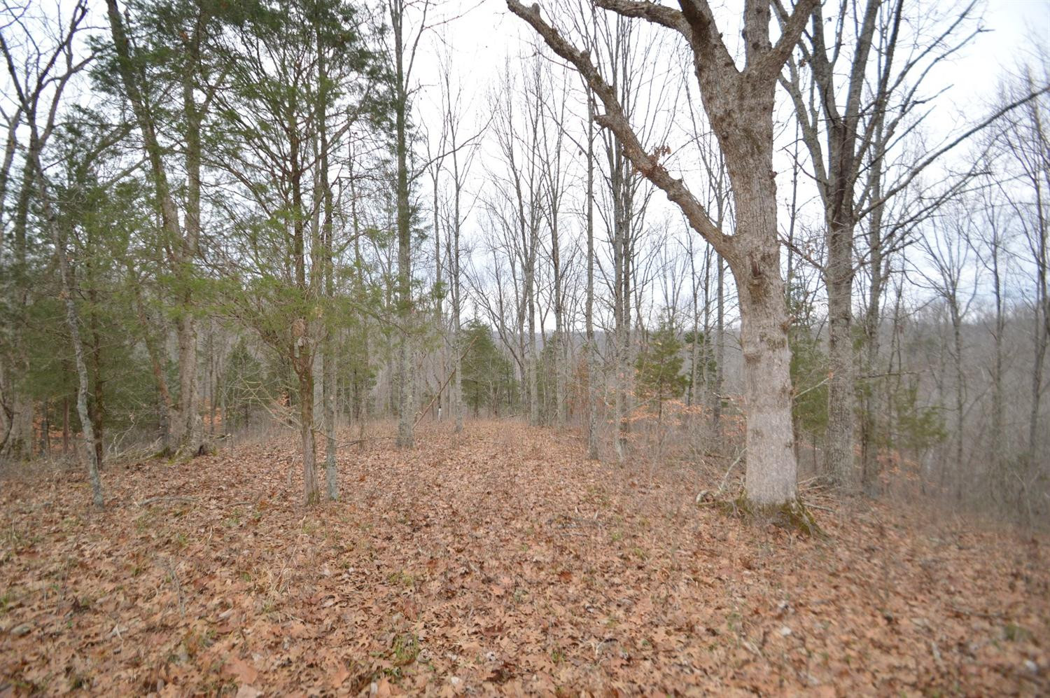 1200 Dennis Road, Unit 7 Lawrenceburg, KY 40342 - Photo 7 of 9 Photo 7