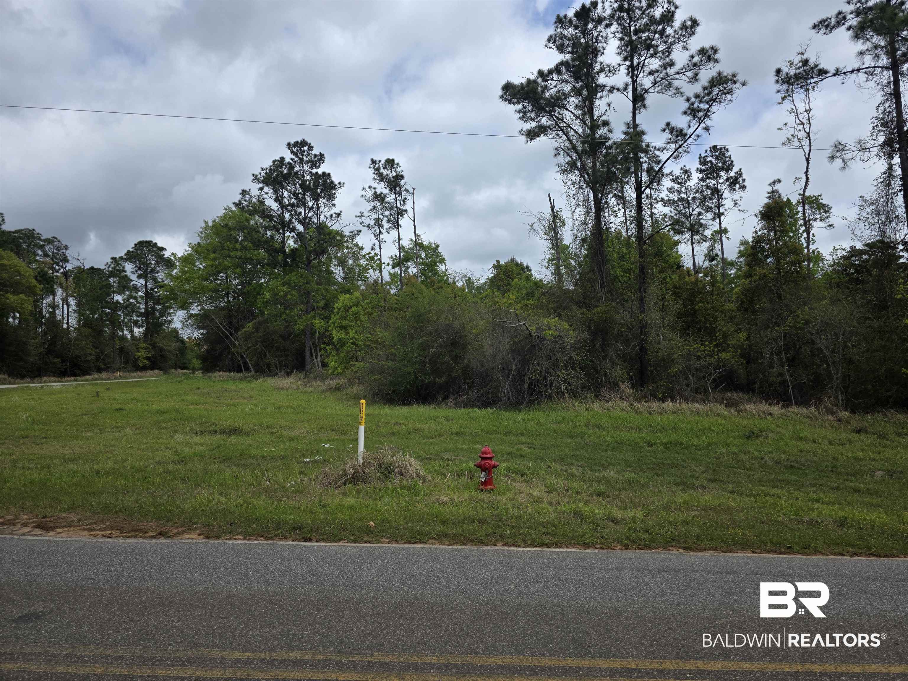 11631 Red Hill Rd Extension Bay Minette, AL 36507 - Photo 11 of 18 View of yard