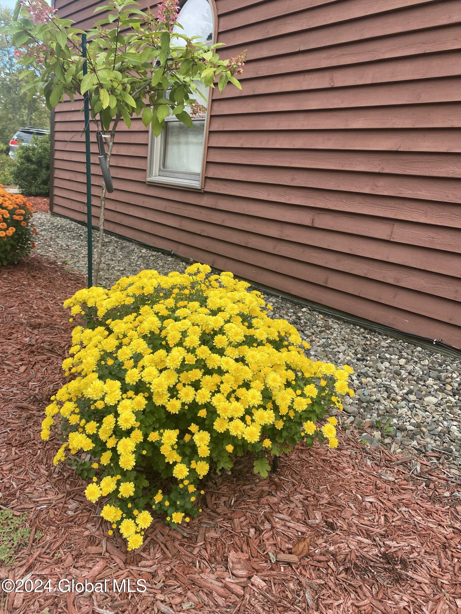 118 Spring Road Glenville, NY 12302 - Photo 62 of 69 49D249DD-5920-4D11-A0B9-F1BD555039BC