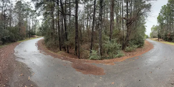 a view of a backyard with trees