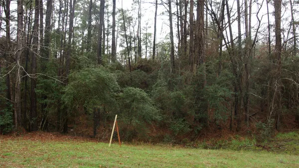 a view of outdoor space and yard