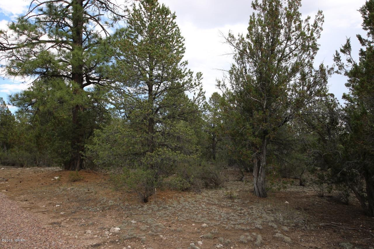 2917 Long Rifle Place Overgaard, AZ 85933 - Photo 1 of 12