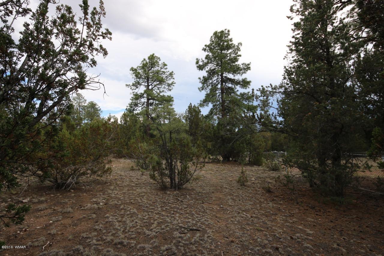 2917 Long Rifle Place Overgaard, AZ 85933 - Photo 4 of 12
