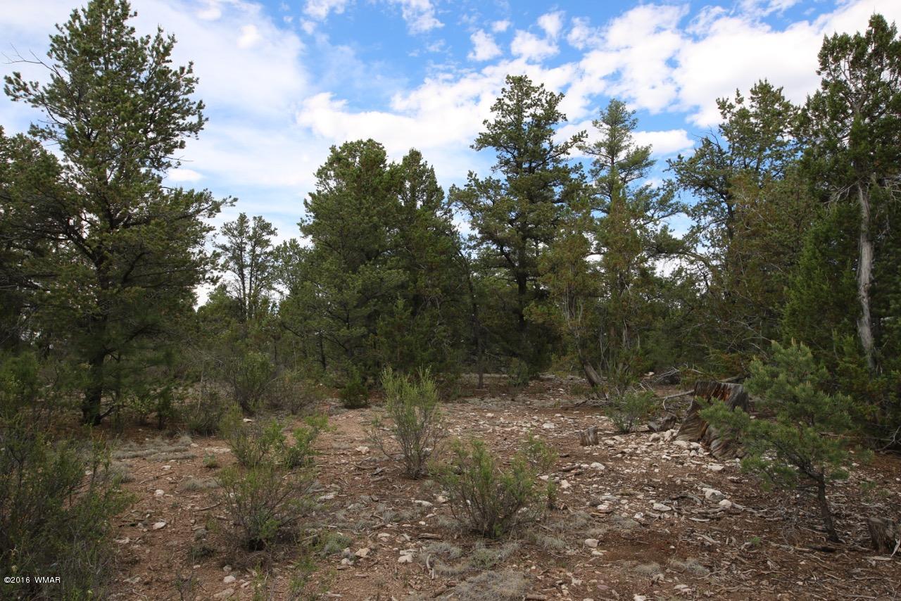 2917 Long Rifle Place Overgaard, AZ 85933 - Photo 8 of 12