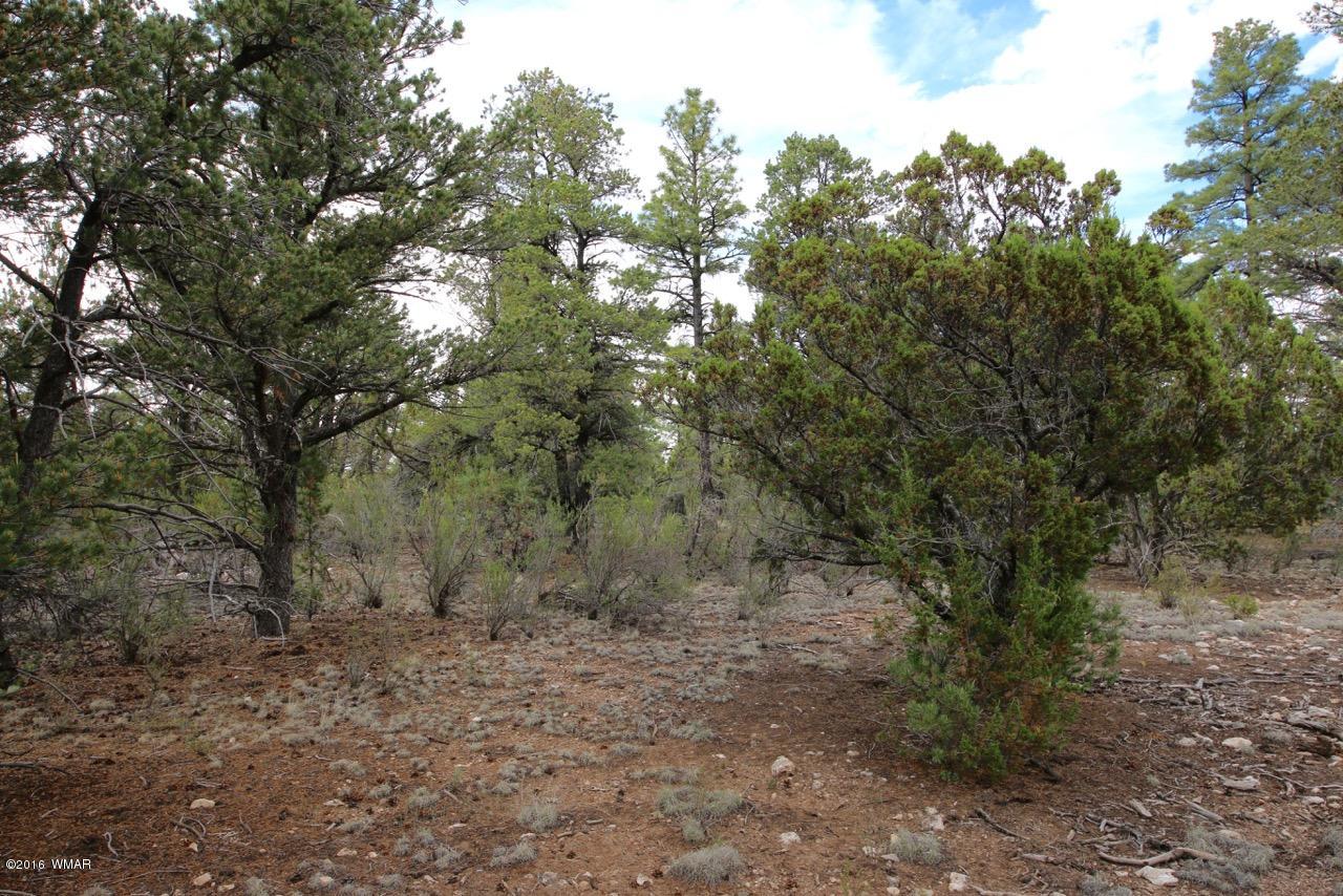 2917 Long Rifle Place Overgaard, AZ 85933 - Photo 10 of 12