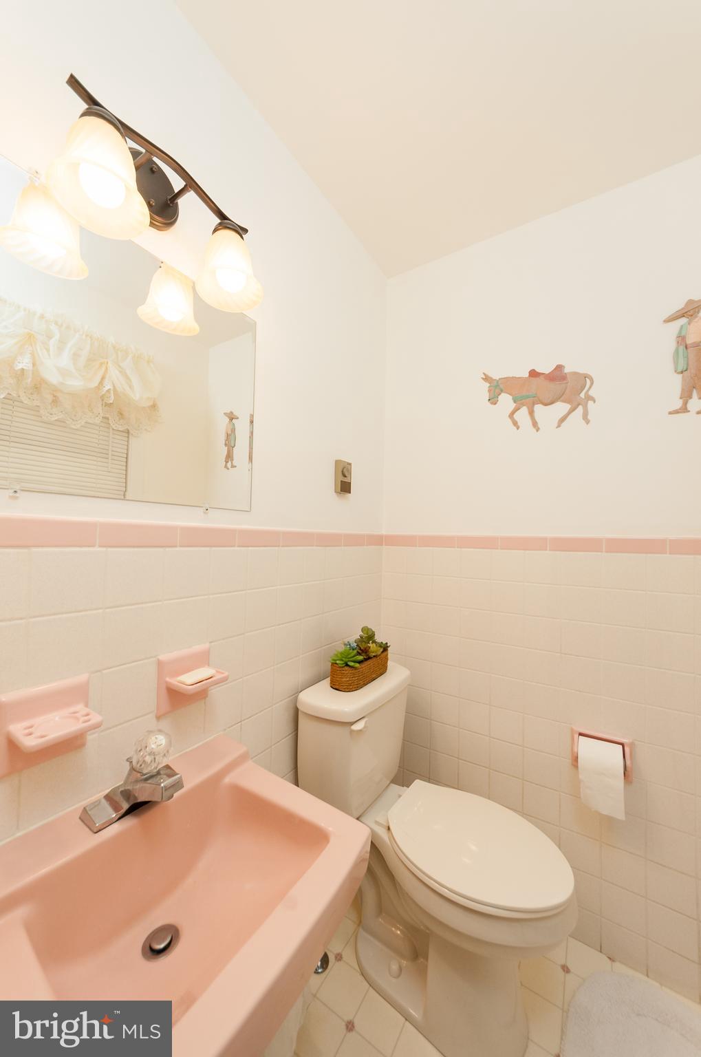 41 Miller Road Akron, PA 17501 - Photo 23 of 34 Master Bath