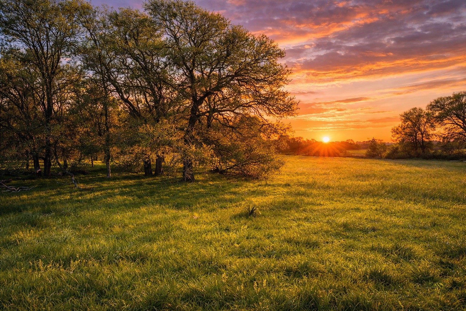 Tbd 6-ac Tbd 6-ac Pope Road Hempstead, TX 77445 - Photo 7 of 11