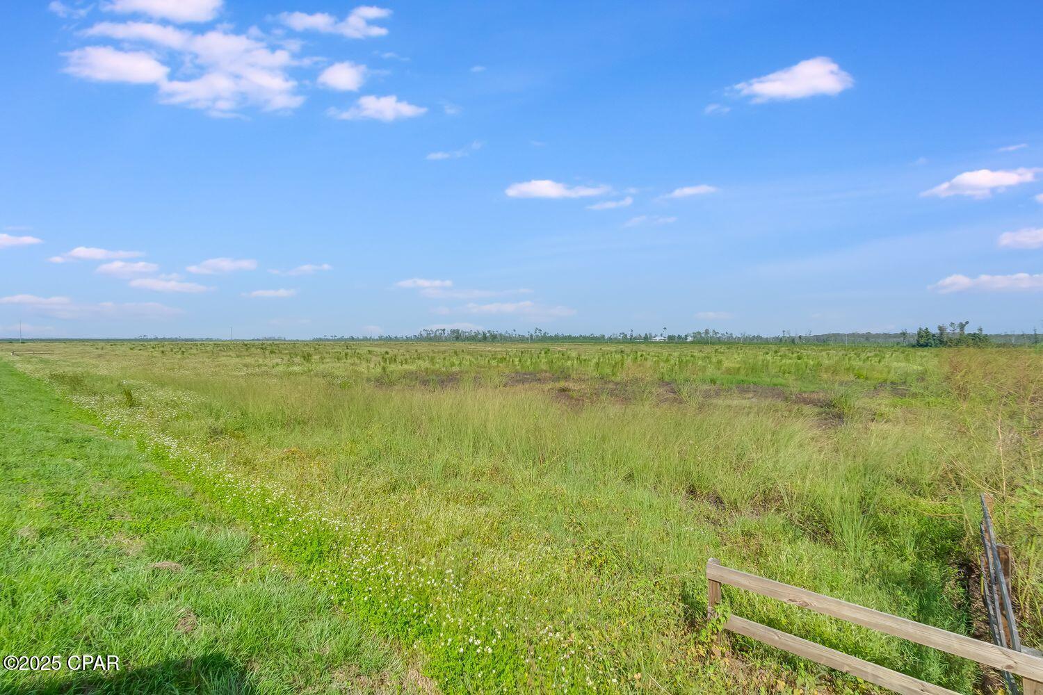 1718 Southeast Davis Peacock Road Wewahitchka, FL 32449 - Photo 11 of 13