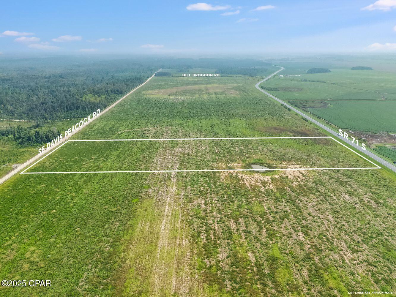 1718 Southeast Davis Peacock Road Wewahitchka, FL 32449 - Photo 5 of 13