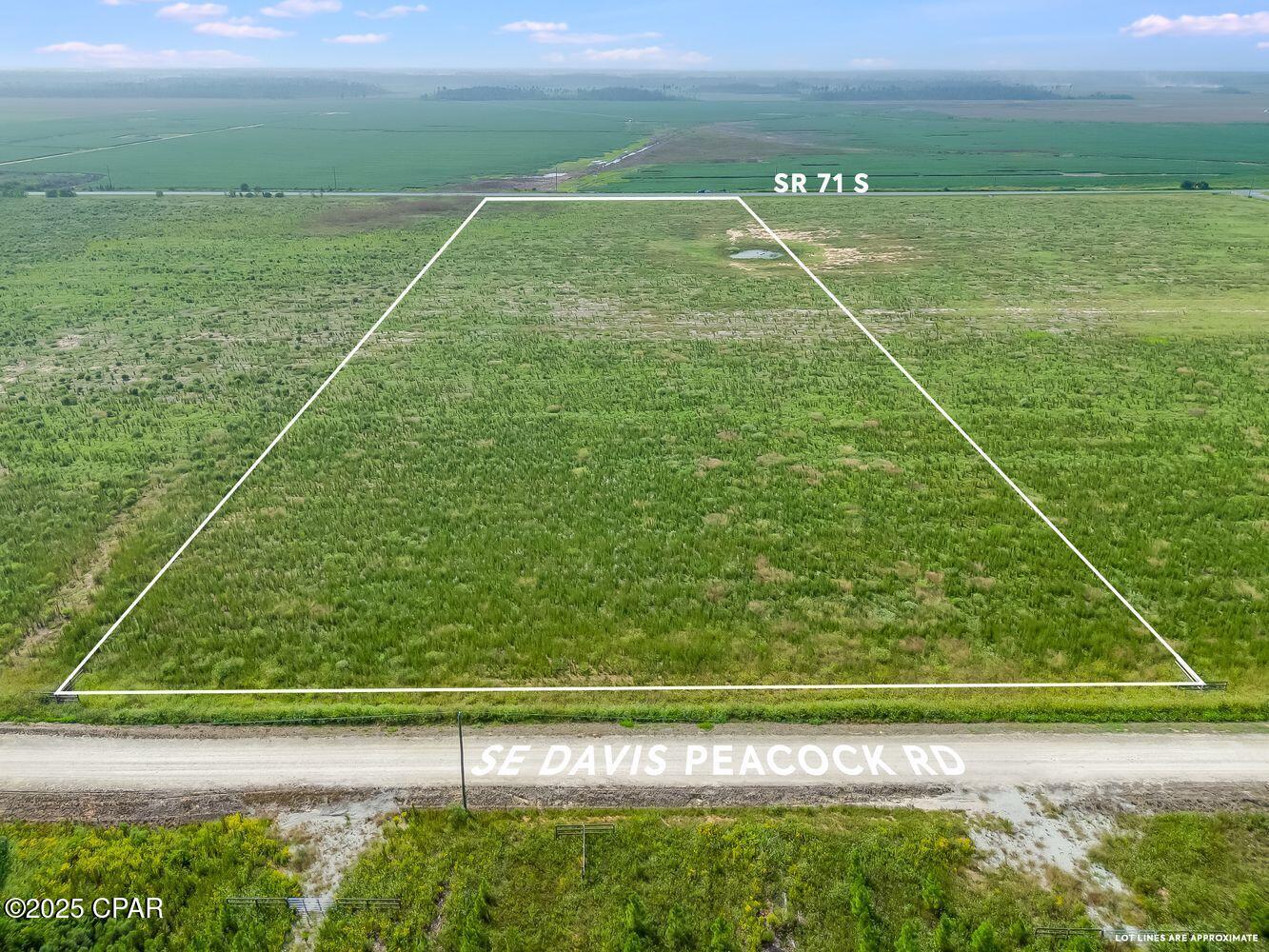 1718 Southeast Davis Peacock Road Wewahitchka, FL 32449 - Photo 8 of 13