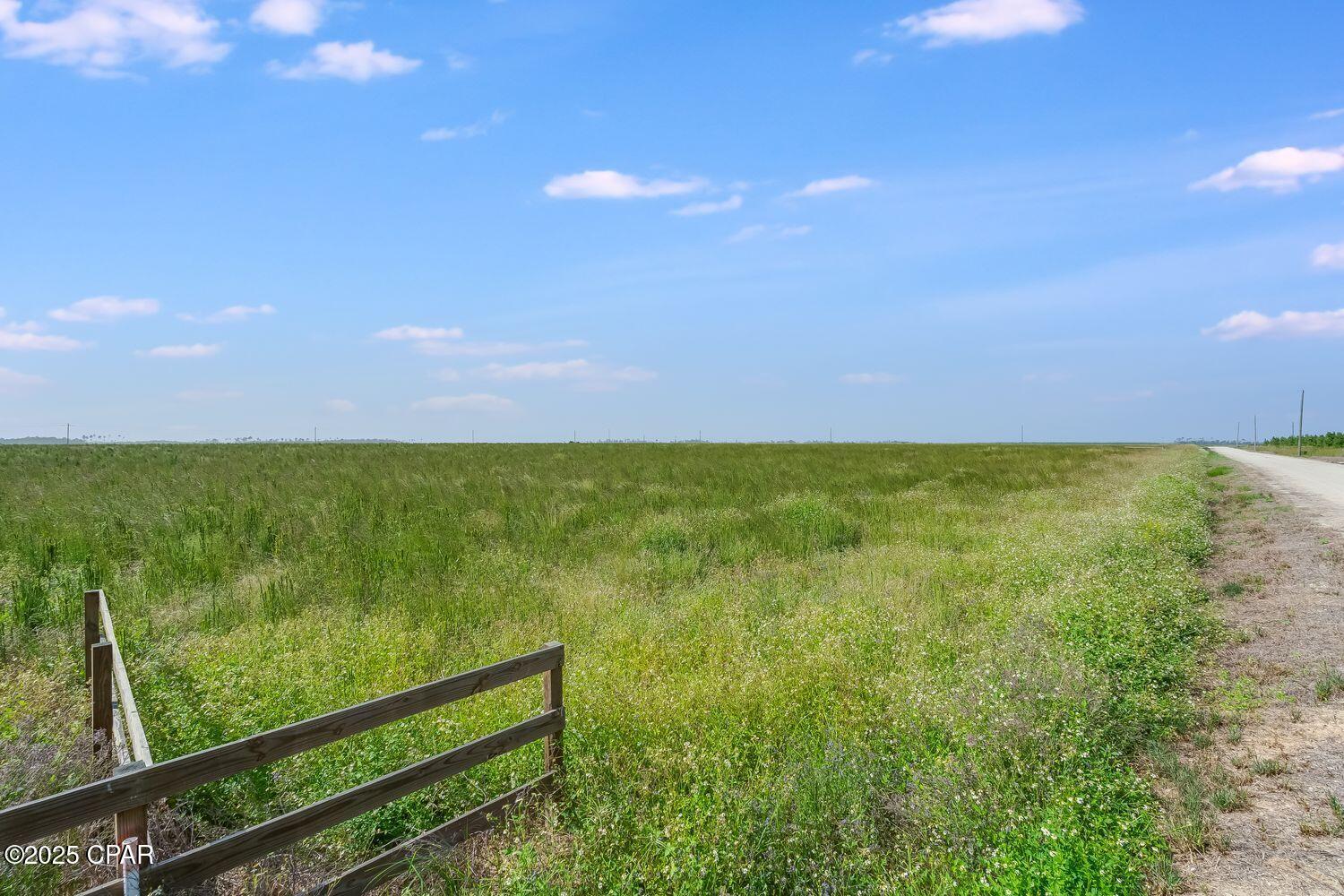 1718 Southeast Davis Peacock Road Wewahitchka, FL 32449 - Photo 9 of 13