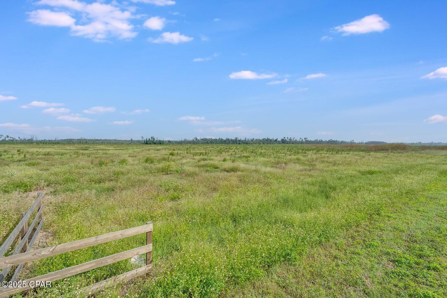 1718 Southeast Davis Peacock Road Wewahitchka, FL 32449 - Photo 10 of 13