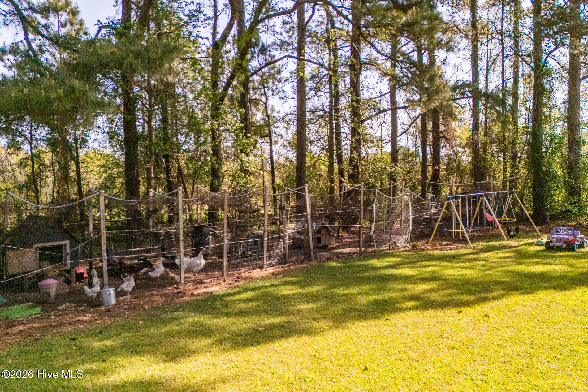 131 Grandy Road Grandy, NC 27939 - Photo 43 of 44 131 Grandy-35
