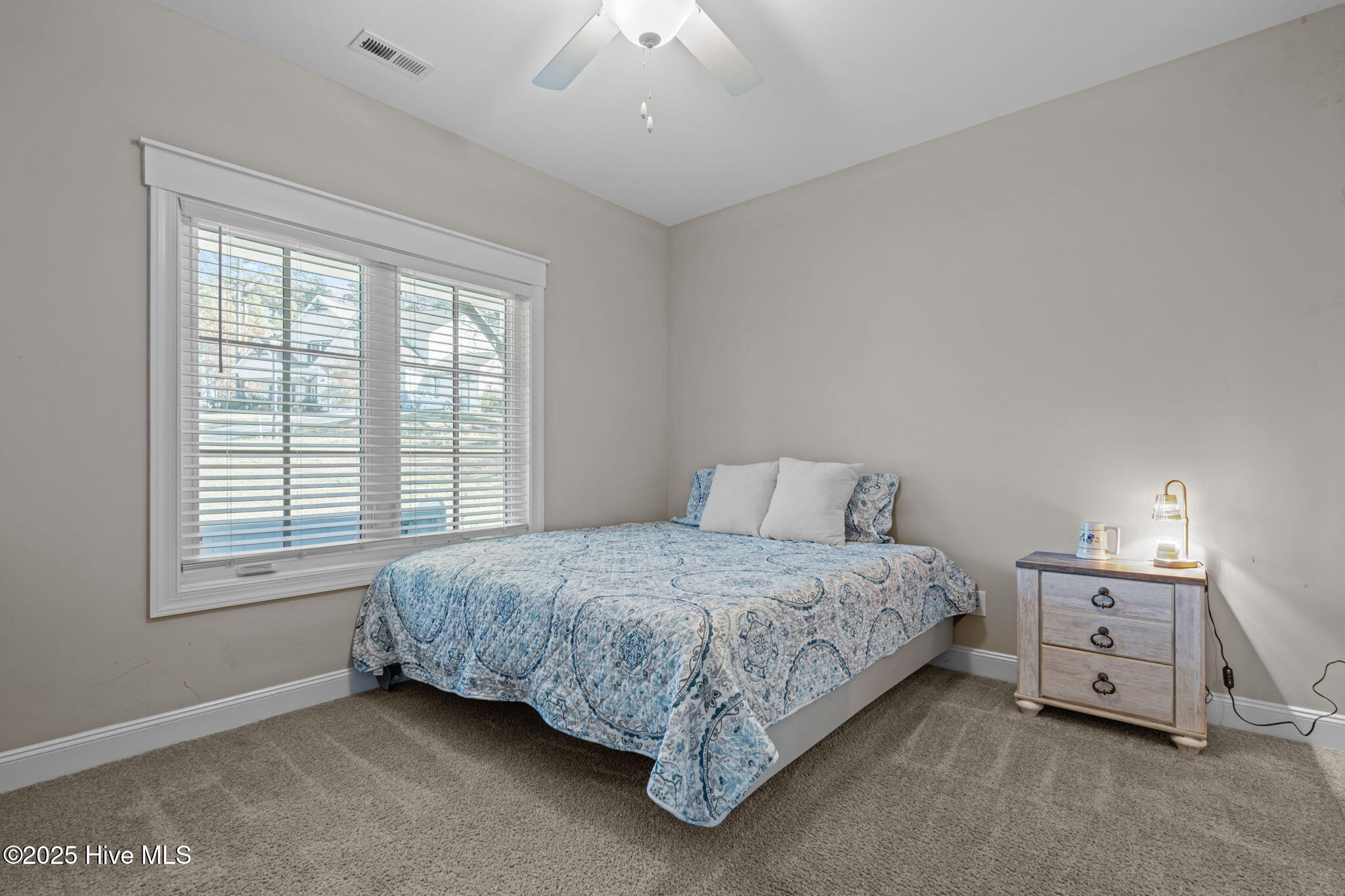 276 Rossborn Lane Carthage, NC 28327 - Photo 14 of 51 13-web-or-mls-DSC04798