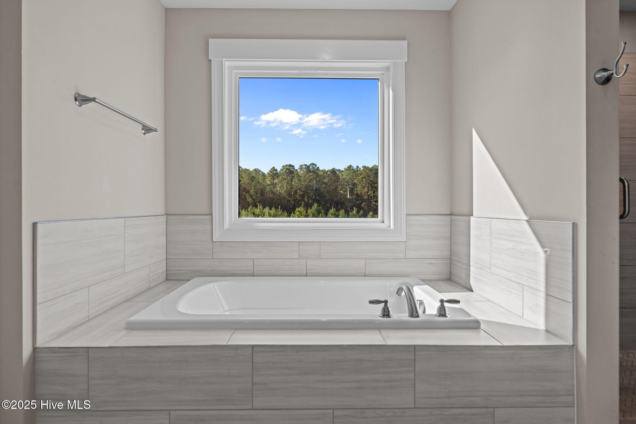 276 Rossborn Lane Carthage, NC 28327 - Photo 36 of 51 36-web-or-mls-DSC04889