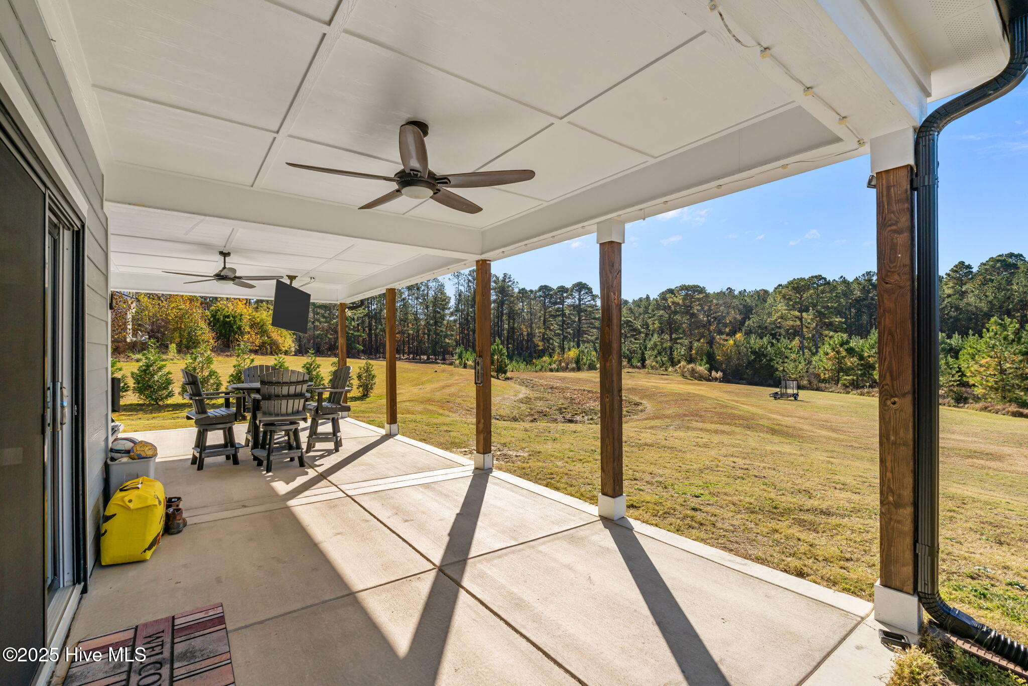 276 Rossborn Lane Carthage, NC 28327 - Photo 43 of 51 42-web-or-mls-DSC04917