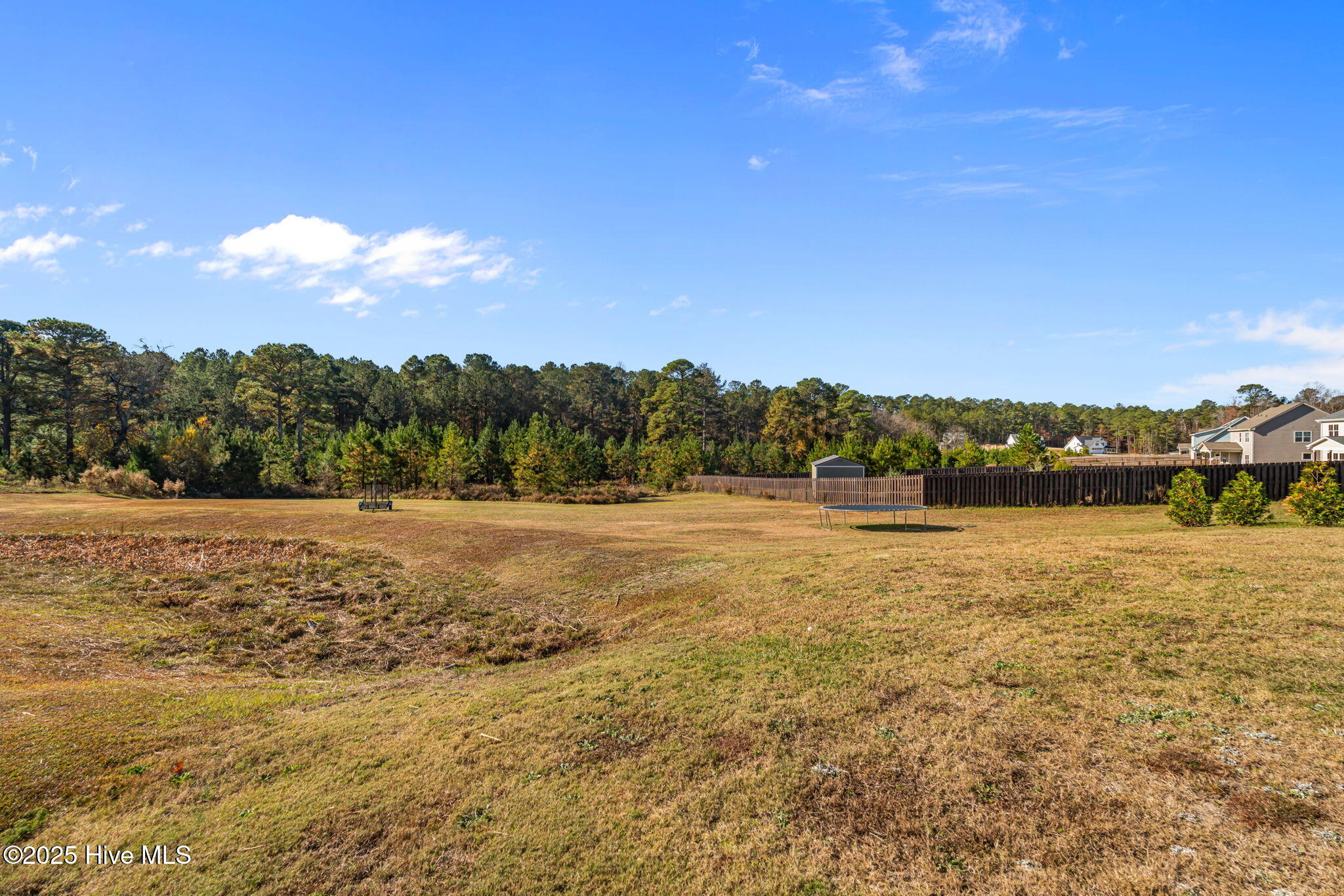 276 Rossborn Lane Carthage, NC 28327 - Photo 47 of 51 46-web-or-mls-DSC04921