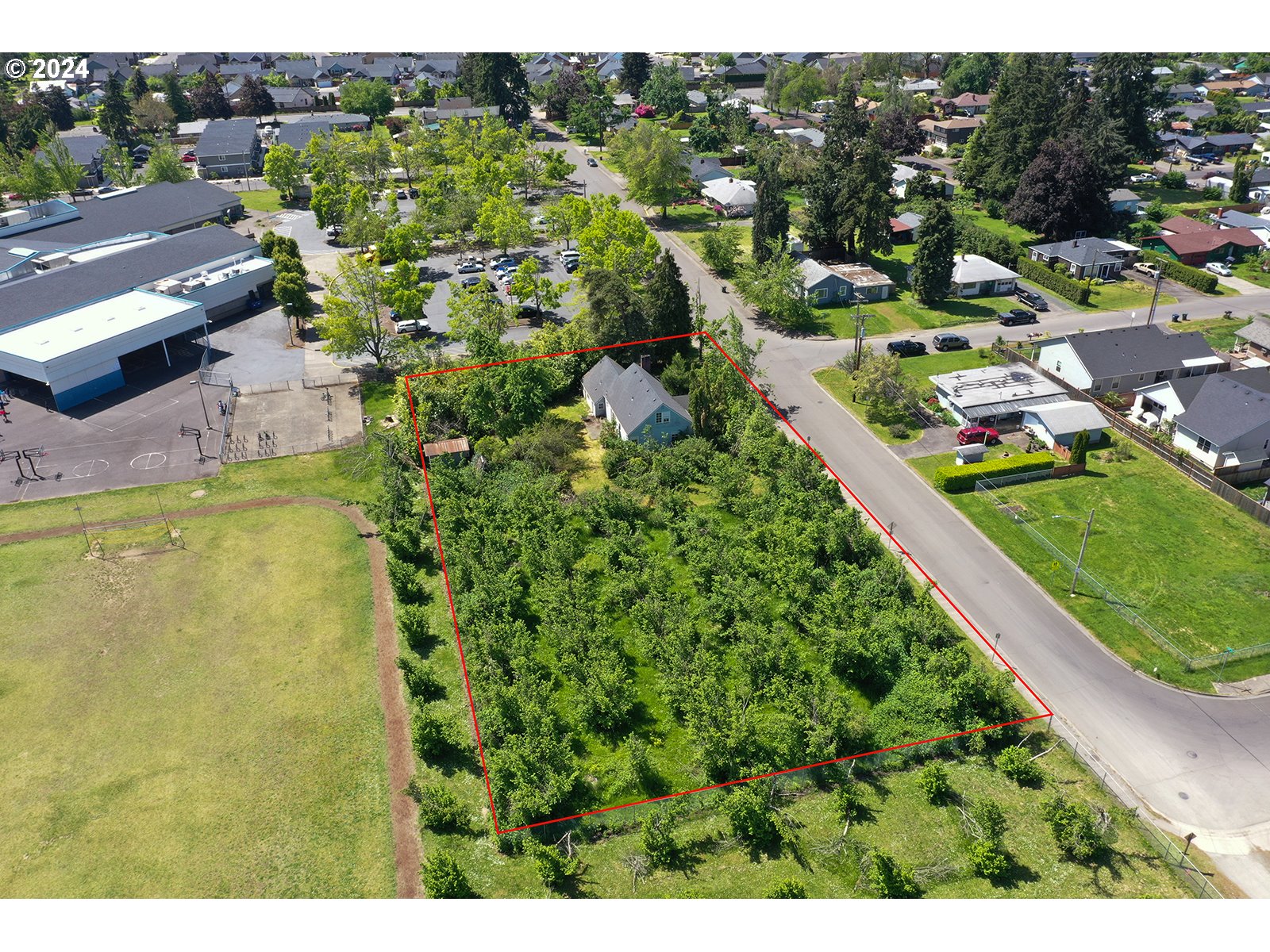 895 Filbert Lane Springfield, OR 97478 - Photo 28 of 34