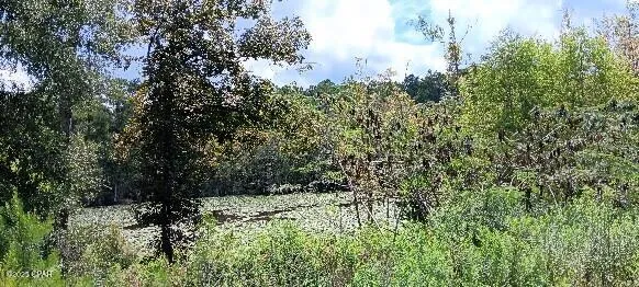 $79,800 | 2006 Posey Acres Road, Chipley, FL 32428