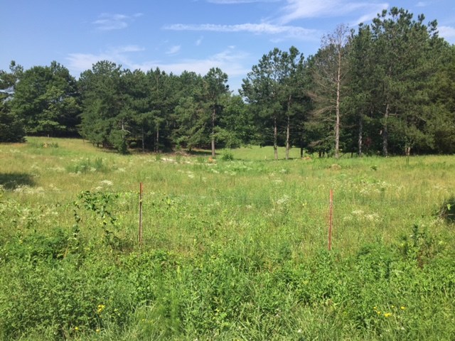 109 Cann Road Anderson, SC 29625 - Photo 1 of 5 Gallery Image 1