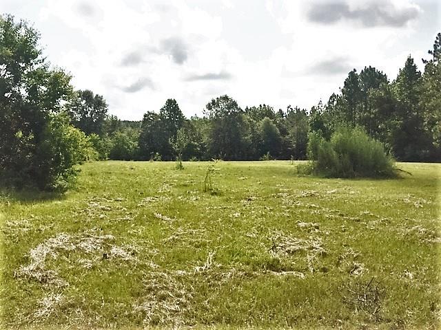 68286 Walker Road Kentwood, LA 70444 - Photo 9 of 10 Gallery Image 9
