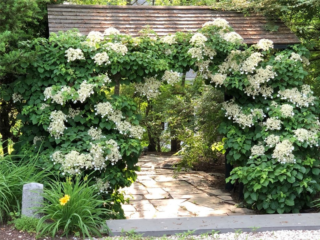 83 Rumstick Road Barrington, RI 02806 - Photo 24 of 28 Stone Entrance with Outdoor Lighting that Leads to this One of a Kind House