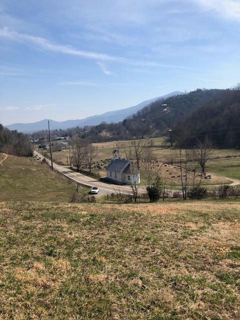 0 Parcel 001.01 Wears Valley Road Sevierville, TN 37862 - Photo 3 of 10 a view of a yard with an outdoor space