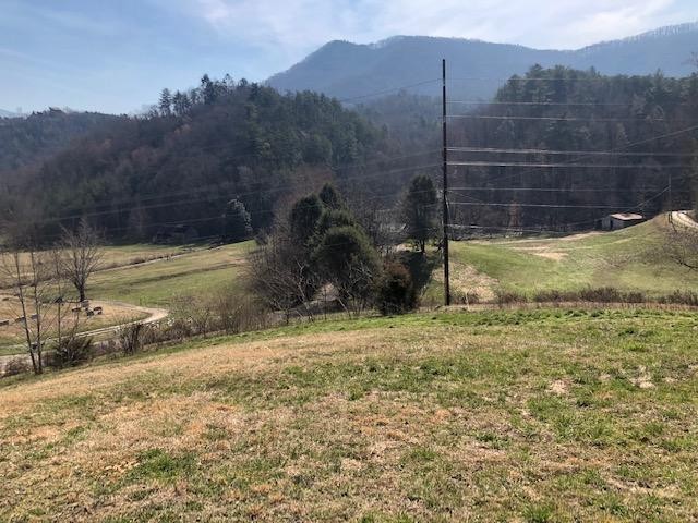 0 Parcel 001.01 Wears Valley Road Sevierville, TN 37862 - Photo 4 of 10 a view of a yard with a tree