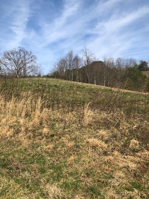 0 Parcel 001.01 Wears Valley Road Sevierville, TN 37862 - Photo 5 of 10