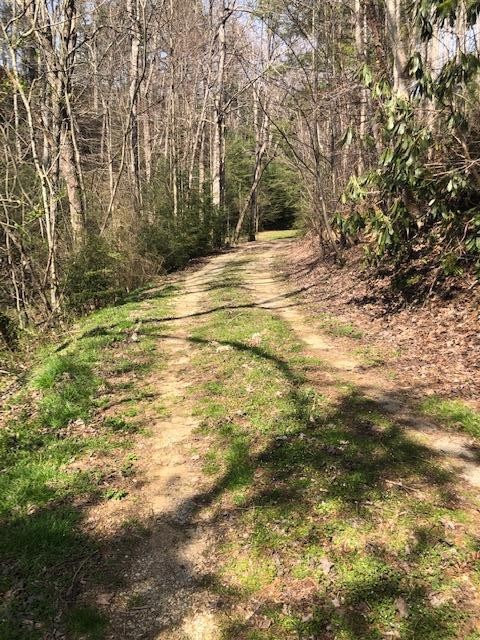 0 Parcel 001.01 Wears Valley Road Sevierville, TN 37862 - Photo 6 of 10 a view of ocean view with large trees