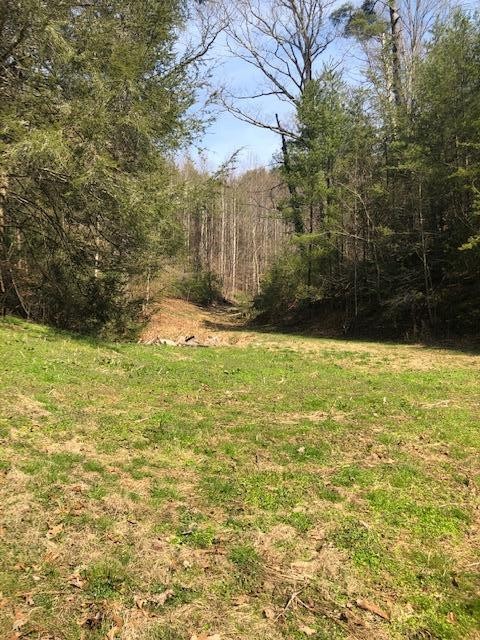 0 Parcel 001.01 Wears Valley Road Sevierville, TN 37862 - Photo 8 of 10 a view of swimming pool with an outdoor space