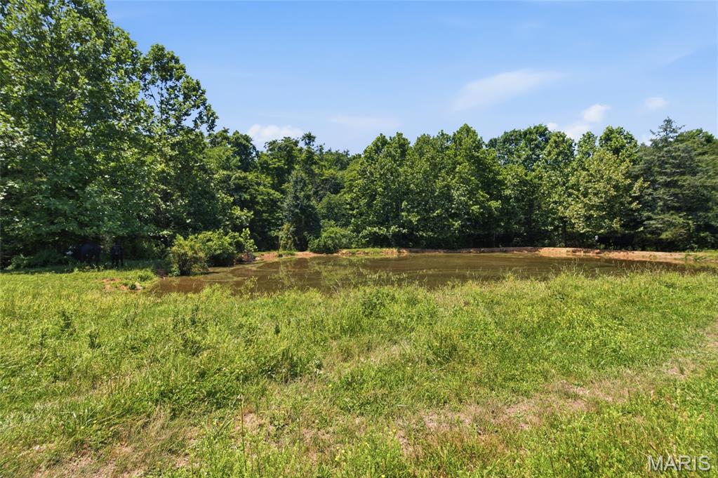0 Pleasant Hill Road Mountain Grove, MO 65711 - Photo 41 of 51