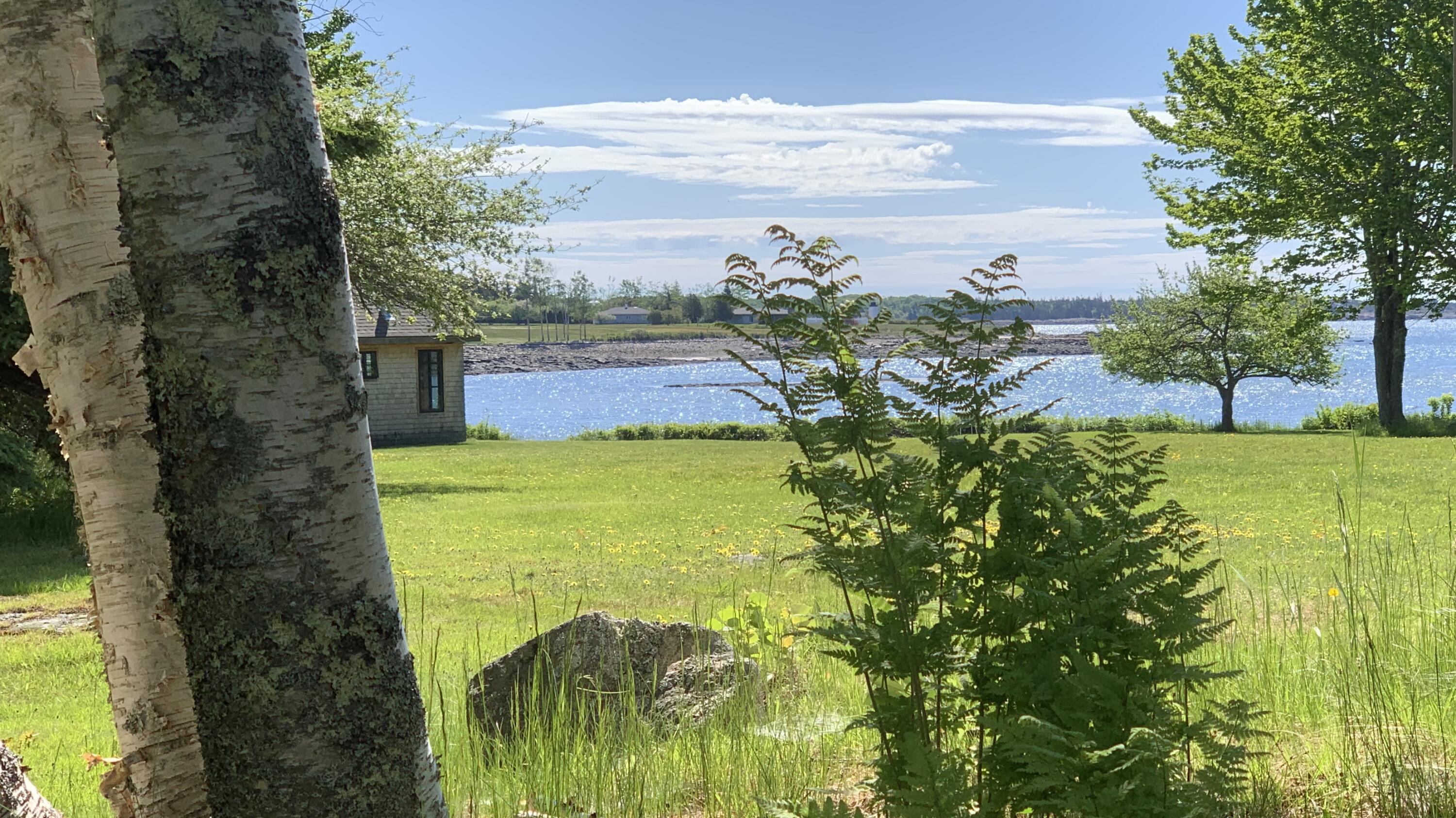 80 Main Street Prospect Harbor, ME 04669 - Photo 55 of 56 Lawn and ocean