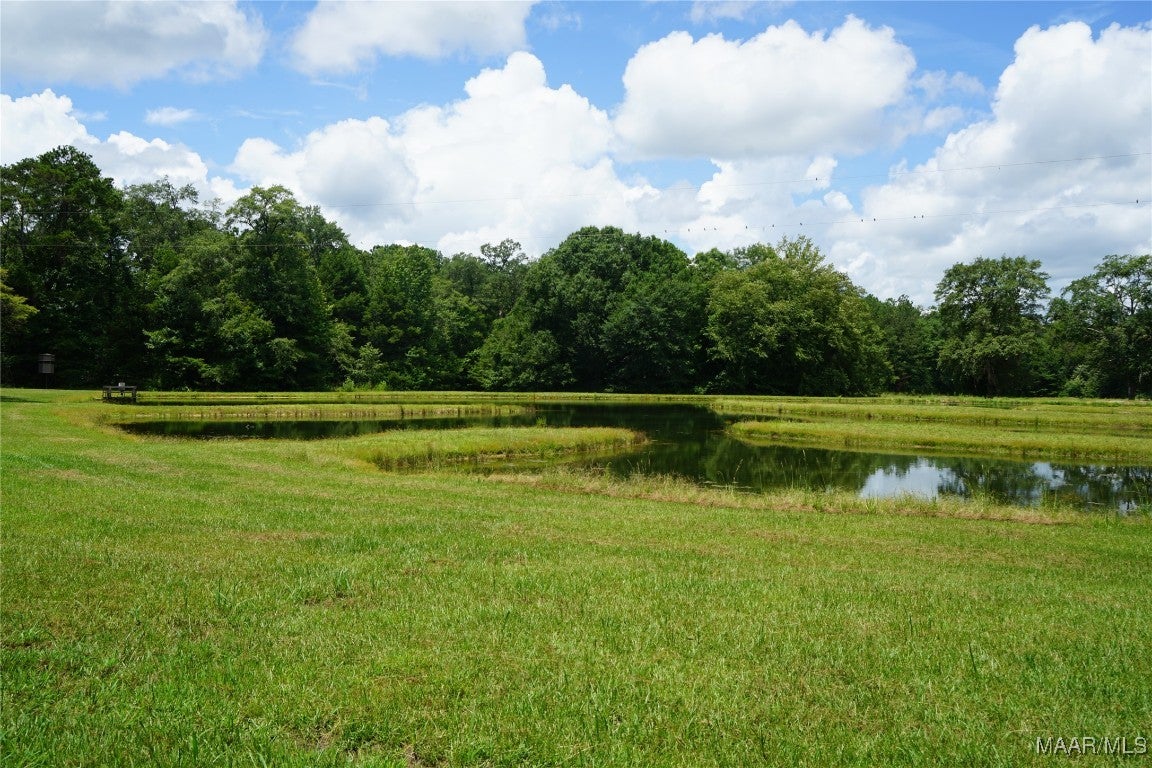 686 Pugh Road Mathews, AL 36052 - Photo 14 of 24 Gallery Image 14