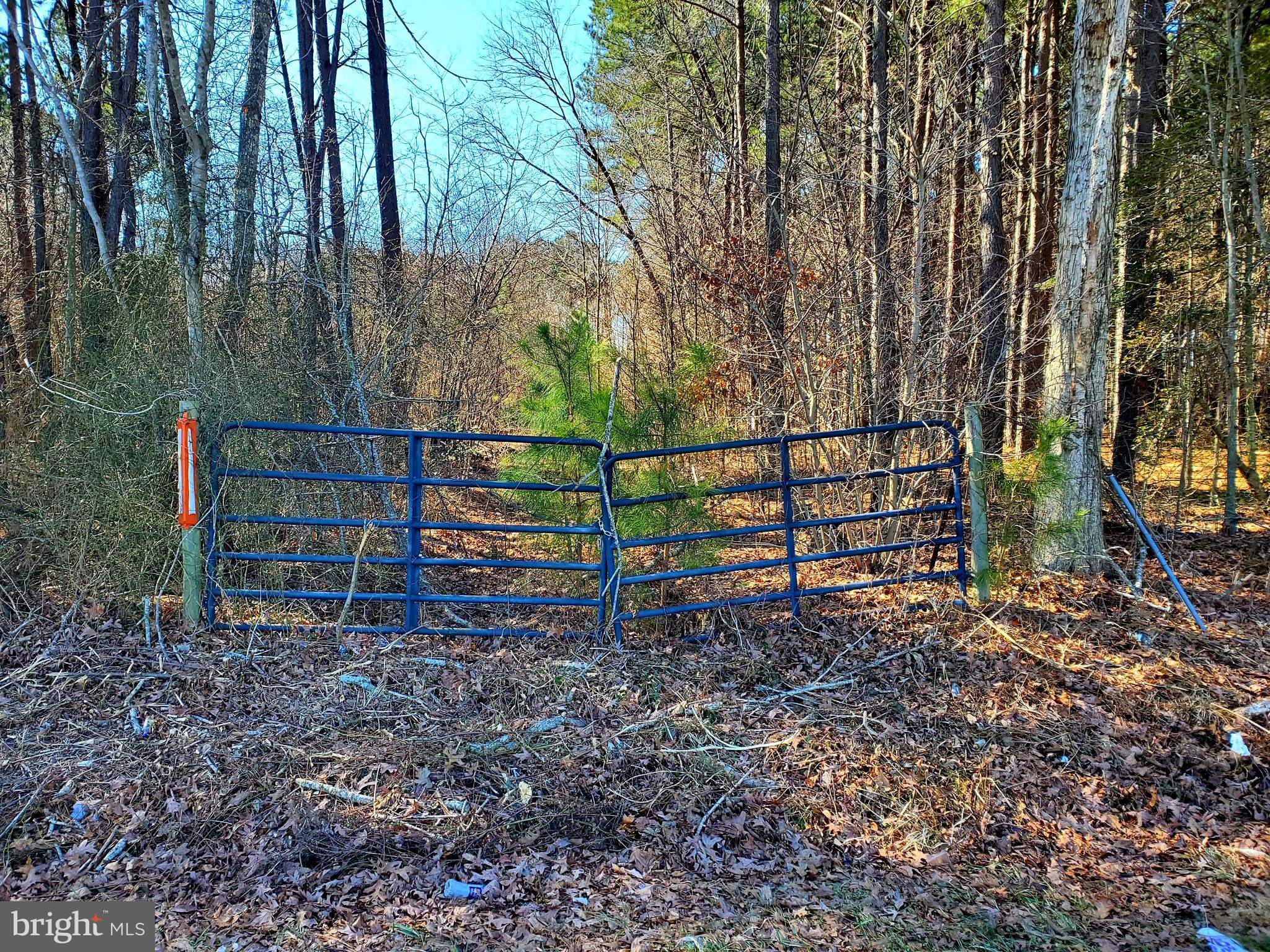 Gravel Branch Road Hurlock, MD 21643 - Photo 4 of 11 Lot Entrance