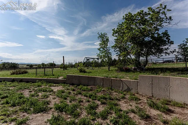 a view of a park with plants and trees