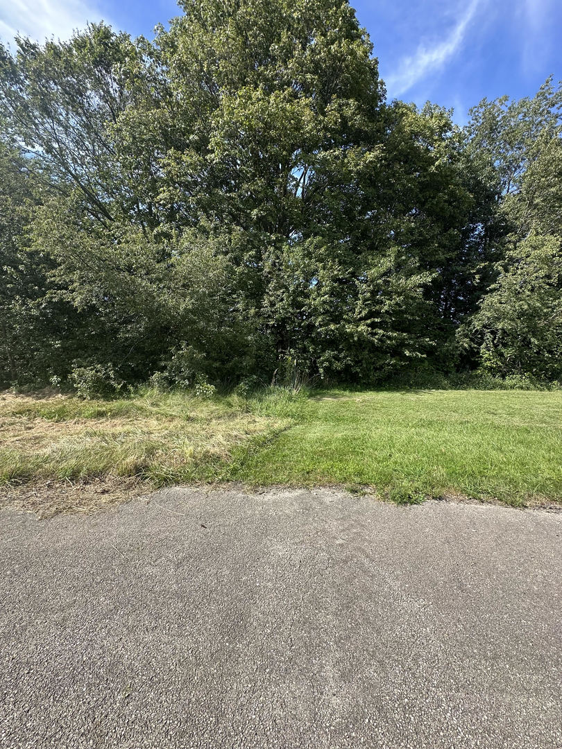 4099 1769th Road Leland, IL 60531 - Photo 5 of 11 a view of a field with a yard